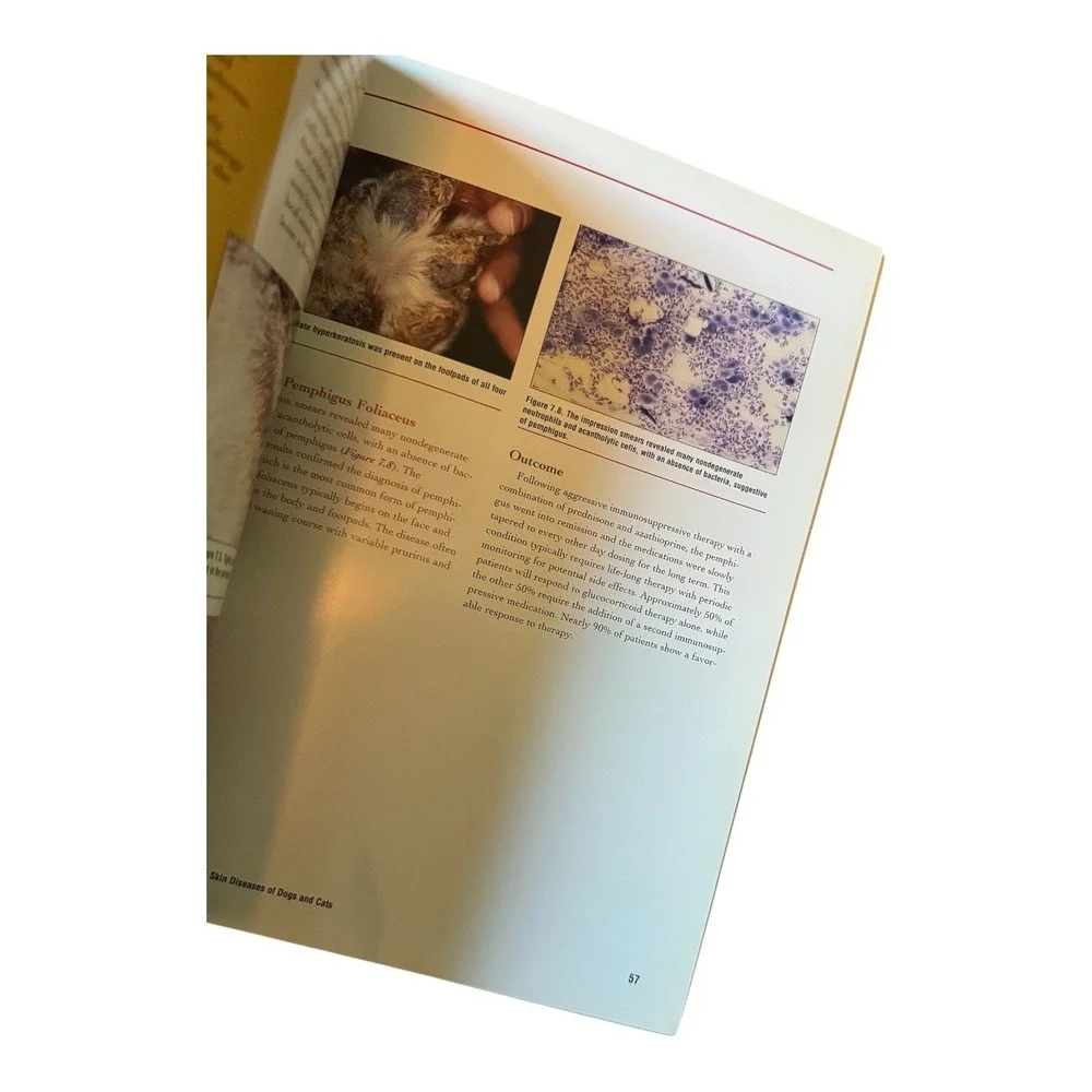 Dermatology Pruritic Skin Diseases of Dogs and Cats Purina Clinical Handbook Vet